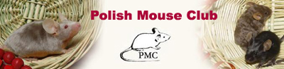 Polish Mouse Club